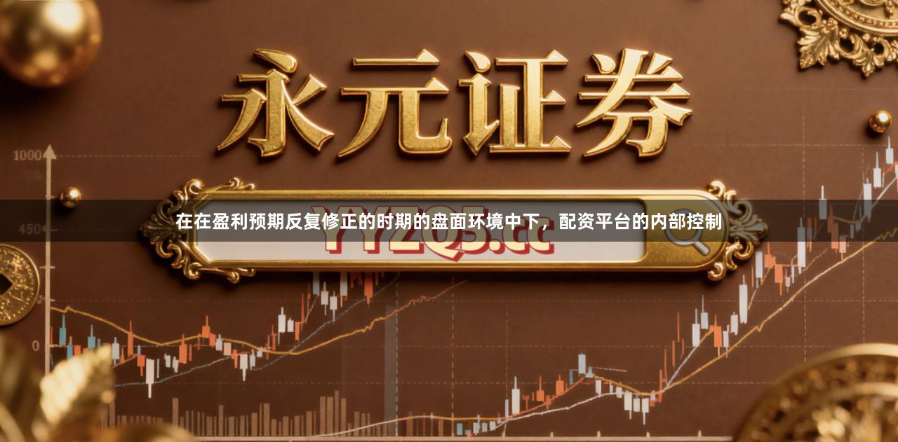 在在盈利预期反复修正的时期的盘面环境中下，配资平台的内部控制