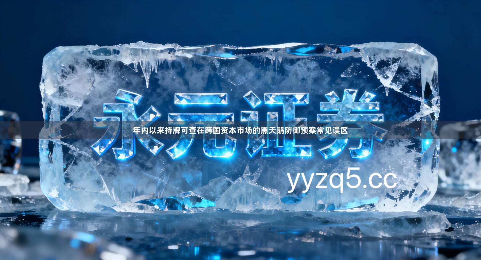 年内以来持牌可查在跨国资本市场的黑天鹅防御预案常见误区